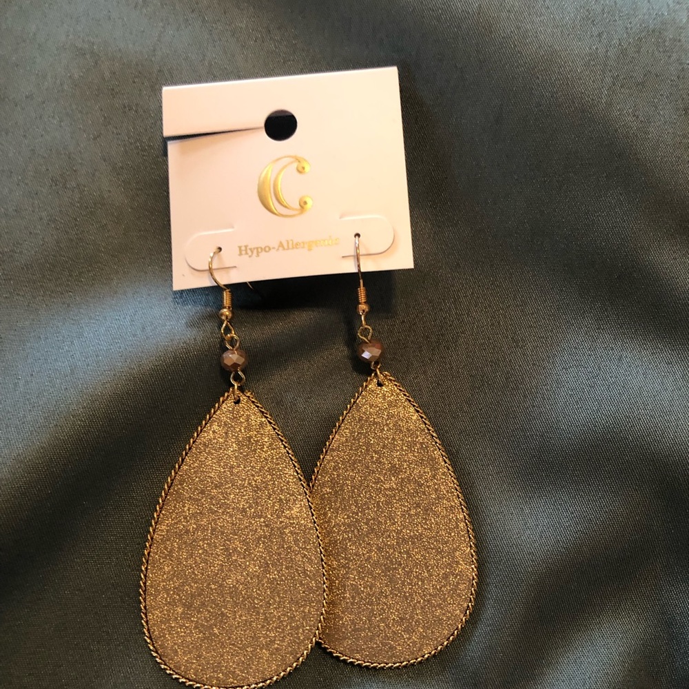Silver Earrings with gold trim